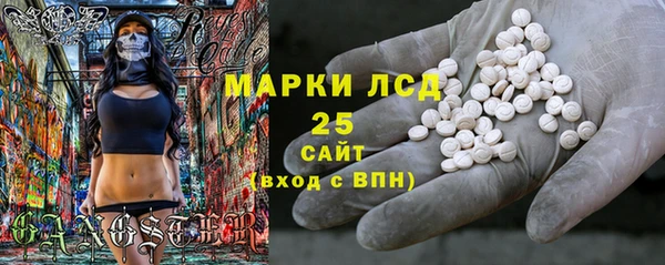дмт Богданович