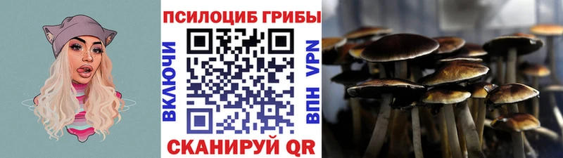 закладки  hydra   Галлюциногенные грибы прущие грибы  Туймазы 